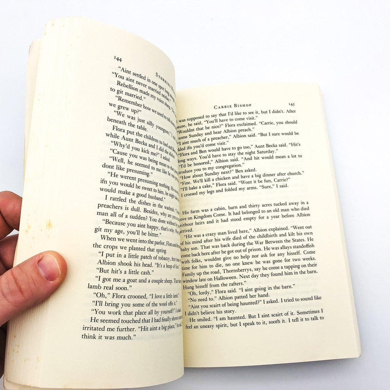 Storming Heaven Paperback Denise Giardina 1987 Battle Blair Mountain Appalachia 8