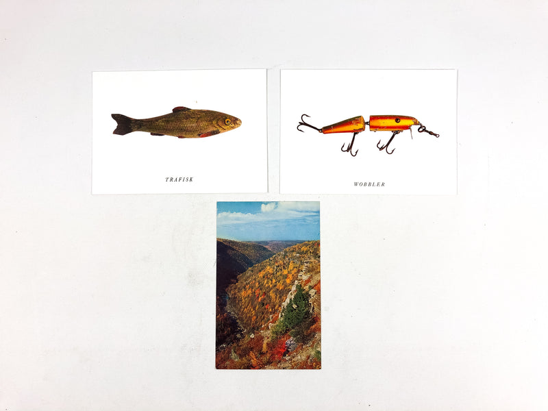 Vintage Trout Fishing Postcards Monongahela National Forest Wobbler Trafisk (3)