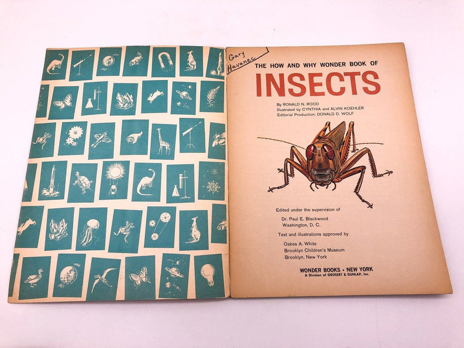 How and Why of Insects Dr Paul E Blackwood 1960 Wonder Books Paperback 6