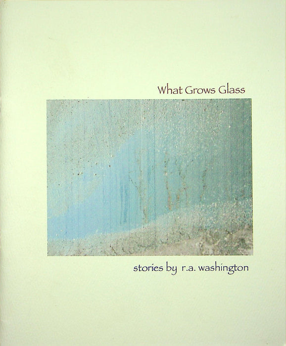 What Grows Glass Zine Stories R A Washington Cleveland Ohio Writer 2004 DIY