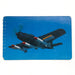 1950s 3 Minute Oats Airplane Martin AM-1 Mauler Aviation Bomber Color Photo Card 3