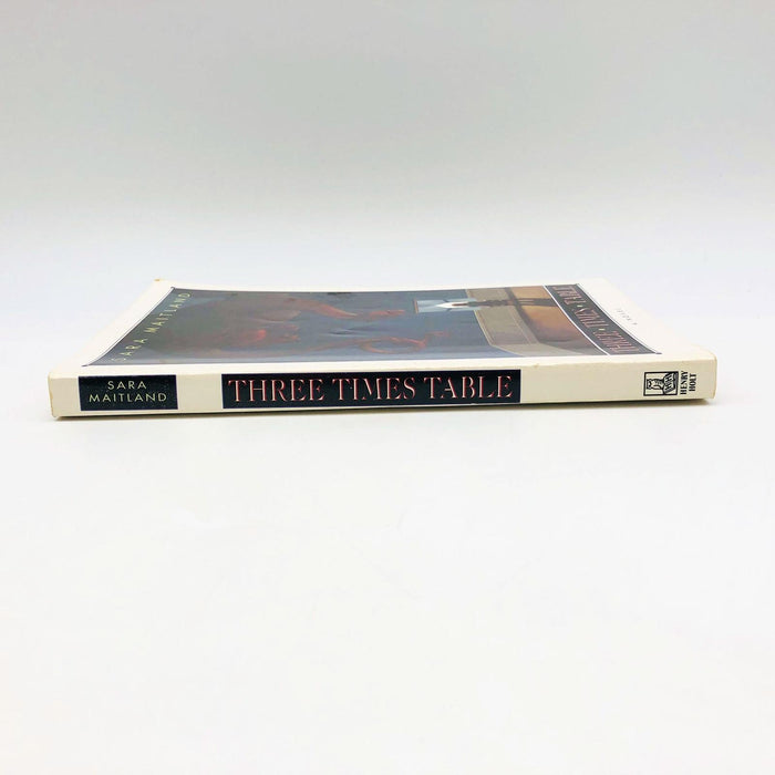 Three Times Table Sara Maitland Paperback 1993 Breast Cancer Family Crisis 3