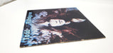 Todd Rundgren Hermit Of Mink Hollow LP Record Bearsville 1978 BRK 6981 Copy 2 3