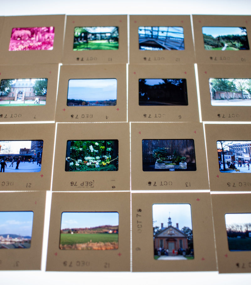 Vintage 35mm Photo Transparency Slides - Longwood Garden 1975 | Lot of 60
