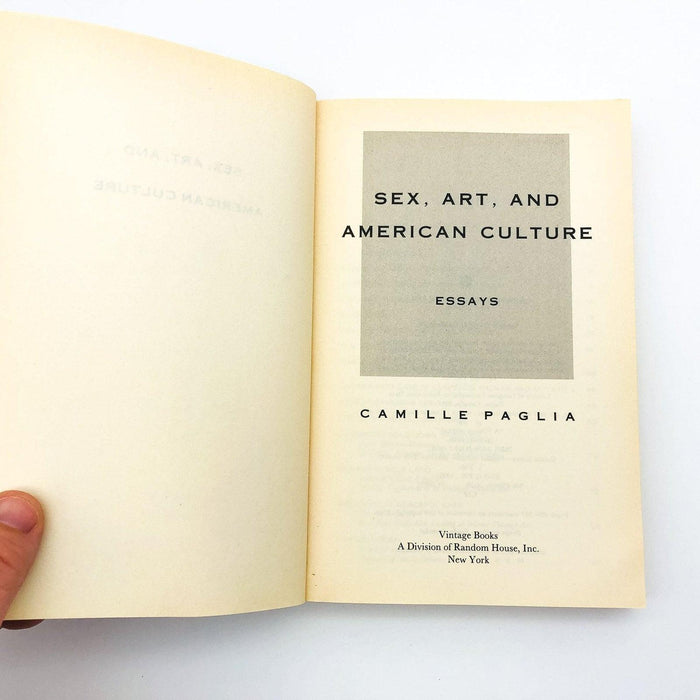 Sex Art And American Culture Paperback Camille Paglia 1992 Pop Culture History 6