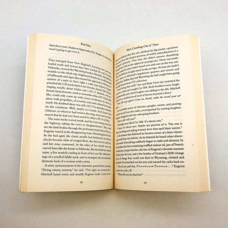 Bad Dirt Wyoming Stories 2 Trade Paperback Annie Prouix 2005 Ranch Family 8