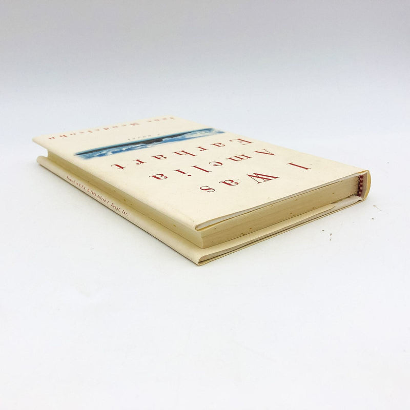 I Was Amelia Earhart HC Jane Mendelsohn 1996 Love Affiar Alternative History 6