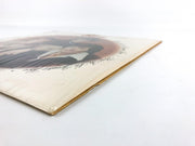 Letterman There Is No Greater Love Record LP R-124385 Capitol 1975 5