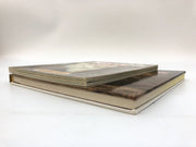 For the Love of Cats Amy D. Shojai 1995 PLUS 2 Bonus Cat Books 5