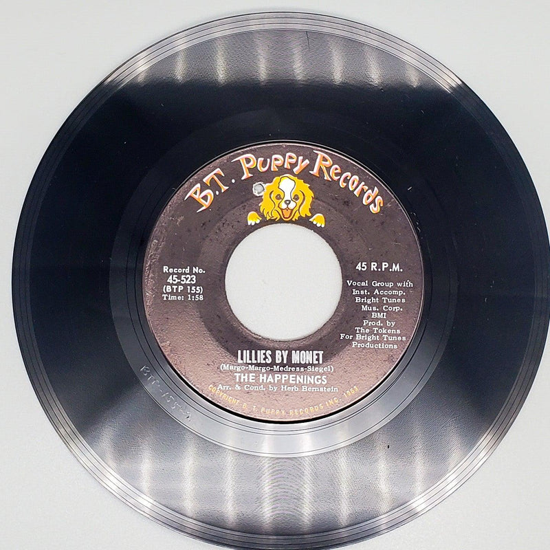 The Happenings Goodnight My Love Record 45 RPM Single B.T. Puppy Records 1966 1