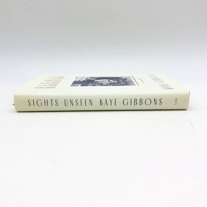 Sights Unseen HC Kaye Gibbons 1995 Bipolar Manic Depression Family 1st Edition 3