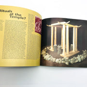 The Mysterious Bog People Paperback C Bergen PHD 2002 Europe Legends Folklore 8