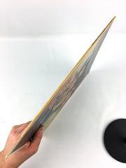 Craig Fuller Eric Kaz Record 33 RPM LP JC 35324 Columbia 1978 Picture Sleeve 7