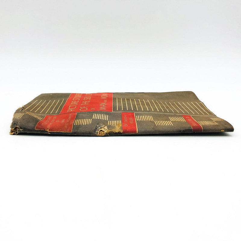 Picture Stories Of The Sex Life Of Man And Woman Pamphlet Dr. David Keller 1946 3