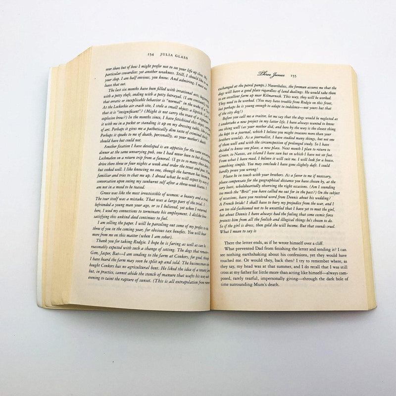 Three Junes Paperback Julia Glass 2002 Scotland Father Sons Long Island NY 8