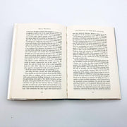 Incidents In The Rue Laugier Hardcover Anita Brookner 1996 Affair Betrayal Ex Li 9