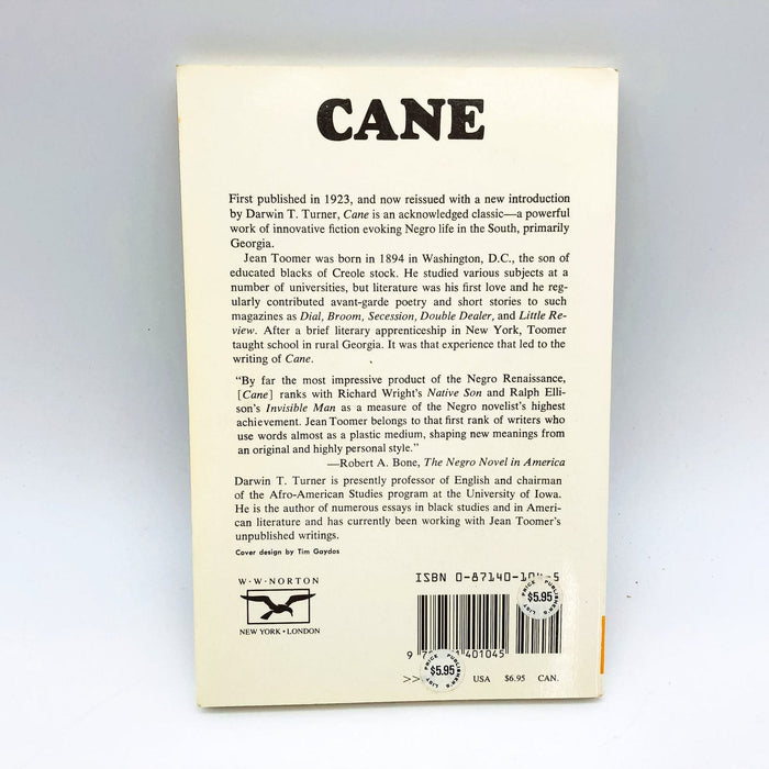 Cane Paperback Jean Toomer 1975 African American Social Issue Southern Town 2