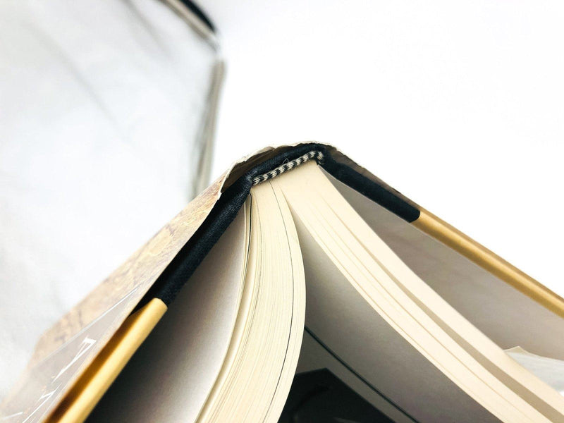 Ancestors Hardcover Donald Johanson 1994 In Search of Human Origins 1st Edition 10