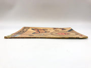 How and Why of Insects Dr Paul E Blackwood 1960 Wonder Books Paperback 3