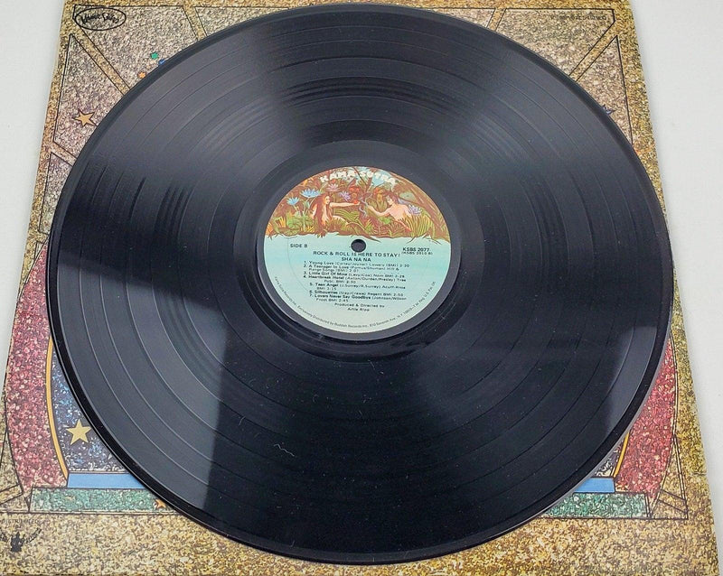 SHA NA NA Rock And Roll Is Here To Stay 33 RPM LP Record Kama Sutra Records 1973 6