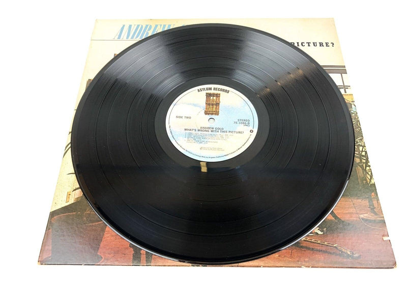 Andrew Gold What's Wrong With this Picture? Vinyl Record LP 7E-1086 Elektra 5