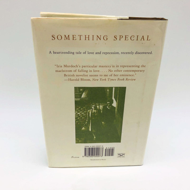 Iris Murdoch Book Something Special Hardcover 2000 1st Edition Irish Girl Marry 2