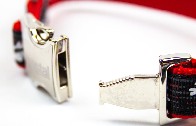 Ribbon: Designer Adjustable Collar - 8-12", Chrome Buckle, Skull & Bones | NEW