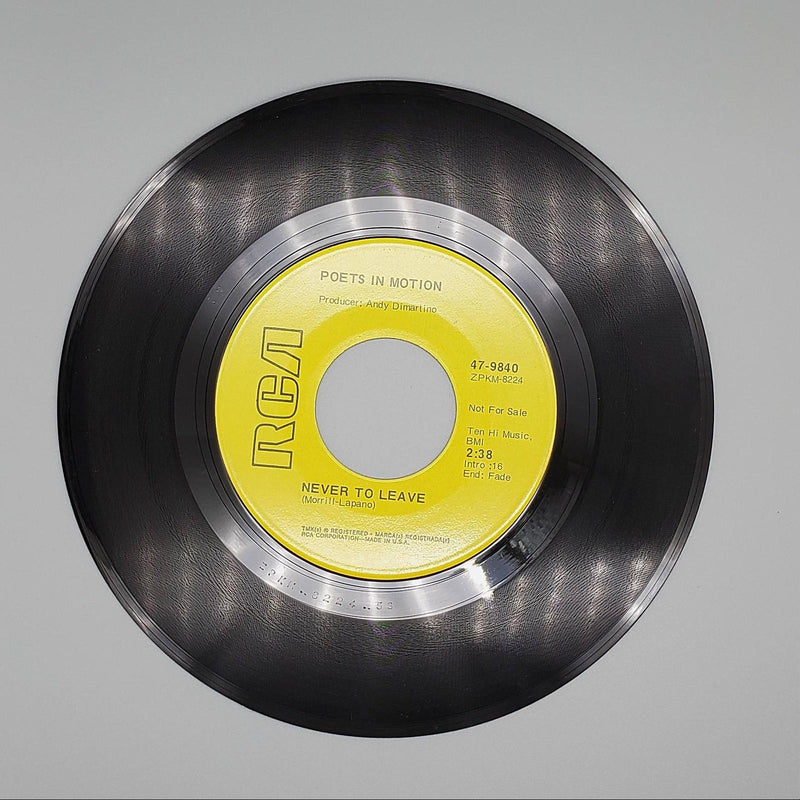 Poets In Motion I'll Start Over Single Record RCA 47-9840 PROMO 2