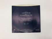 Minor Detail Canvas of Life Record 45 RPM Single 815 329-7 Polydor 1983 2