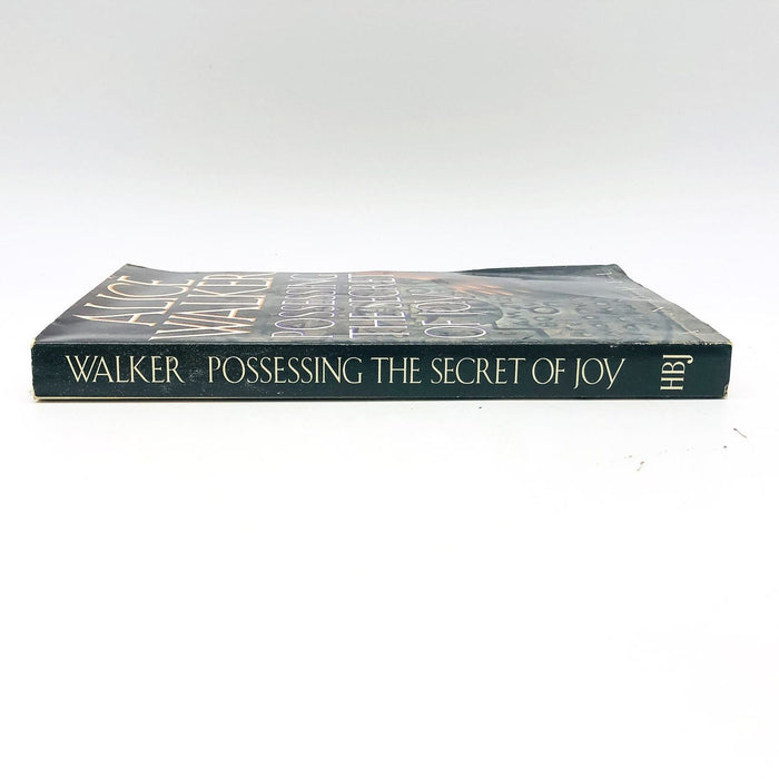 Possessing The Secret Of Joy SC Alice Walker 1992 Tsunga Ritual Self Mutilation 3