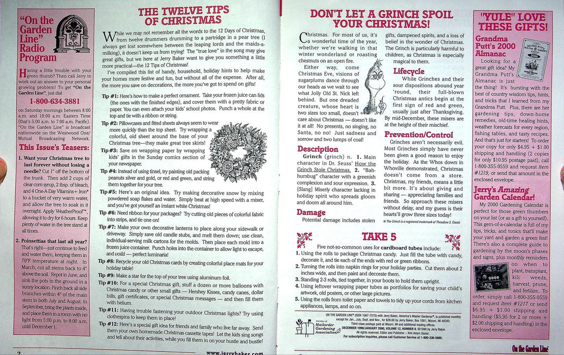 On The Garden Line Magazine December 1999 Grow your own Christmas Tree