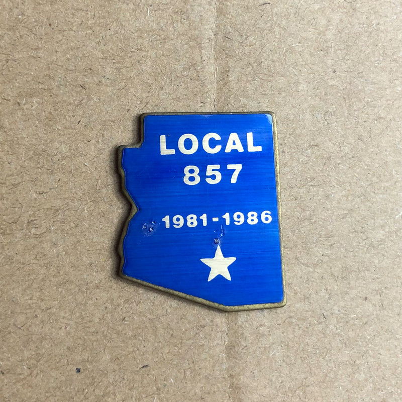 United Brotherhood of Carpenter's UBC Lapel Pin Local 857 Arizona State Outline 1