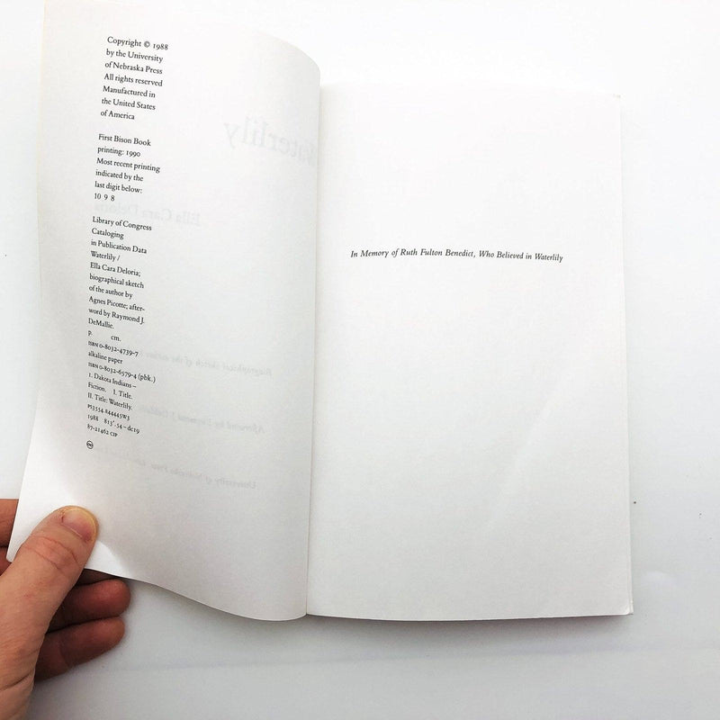 Waterlily Paperback Ella Cara Deloria 1988 Agnes Picotte Biographical Sketch 7
