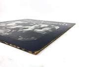 John F. Kennedy The Presidential Years 1960-1963 A Documentary Record TFM 3127 7