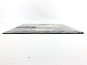 Tony Orlando & Dawn To Be With You Record LP Vinyl Elektra/Asylum 1976 4