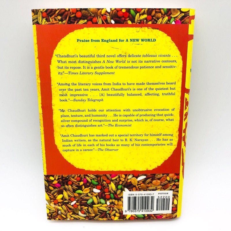 A New World Hardcover Amit Chaudhuri 2000 India Child Custody Father Sons 2