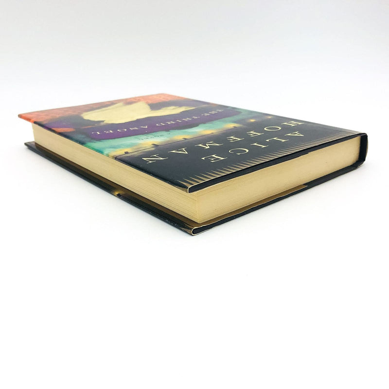 The Third Angel Hardcover Alice Hoffman 2008 Women Love Wrong Men Struggle 5