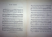Sheet Music In My Harem Irving Berlin Bert Daniels 1913 Waterson Berlin Synder 2