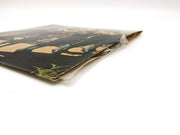 Platzkonzert im Alpenland Record 33 RPM LP P 10 318 R Philips 10" Mini Album 4